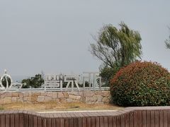 -西京湾花海