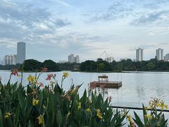-南宁南湖公园