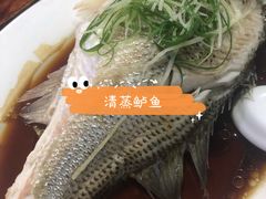 -老字号蛇口德记烧腊饭店·海鲜加工