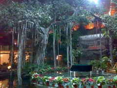 史前植物-绿色时代大酒店