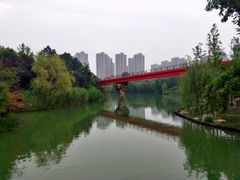 -青枫公园