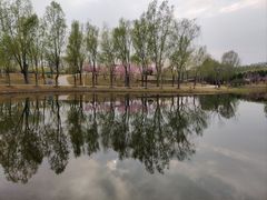 -东郊湿地公园