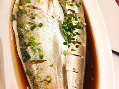 清蒸白水鱼-同庆楼(滨湖万达广场店)