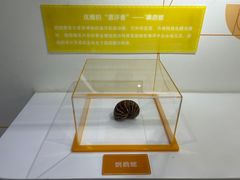 -石景山科技馆