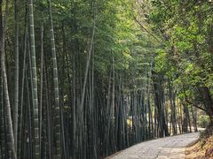 -采石矶景区