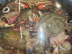 -船梆煮•蒸汽海鲜·炉火烤肉(五四广场店)