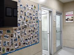 -谐和益家动物医院·免疫绝育·血液透析·宠保定点医院(高新伊藤分院)