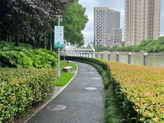 -陈家山荷花公园