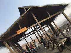 -溱湖国家湿地公园