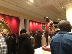 -拉斯维加斯O秀