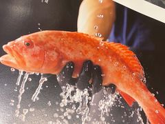 -澳门豆捞(裕华东路店)