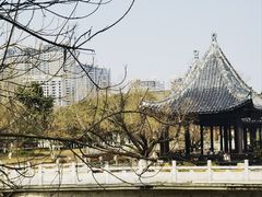 -八大山人梅湖景区