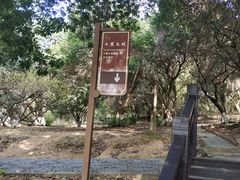 -白马涧龙池景区