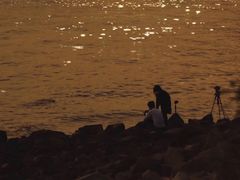 -宝安西湾红树林湿地公园