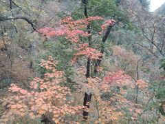 -九鼎铁刹山风景区