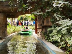 -南宫五洲植物乐园