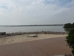 -宝安西湾红树林湿地公园