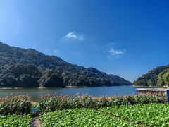 -广州市石门国家森林公园
