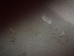 -丰犊老火锅(井口店)