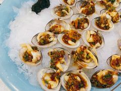 冰鲜黄蚬子-渔娘渔家丹东海鲜(东直门店)