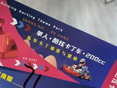 -锐擎卡丁车主题乐园(郊野公园店)