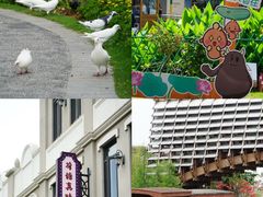 -江门古劳水乡旅游区