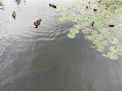 -杭州植物园