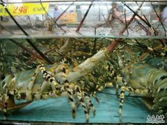 -渔民新村(番禺总店)