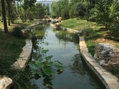 -北京国家会计学院