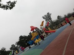 -铁山坪森林公园