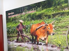 -湖南人家湘菜馆(镇江路店)