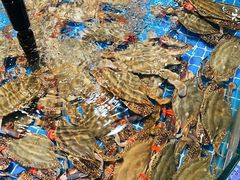 -和源祥·日照菜扛把子(万平口一店)