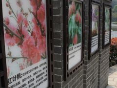 -重庆彩云湖湿地公园