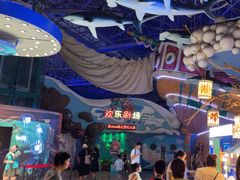 -烟台海昌鲸鲨海洋公园