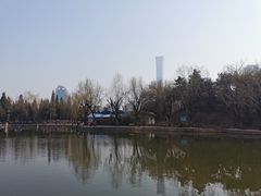 -团结湖公园