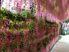 -郑州银基黄帝宫御温泉