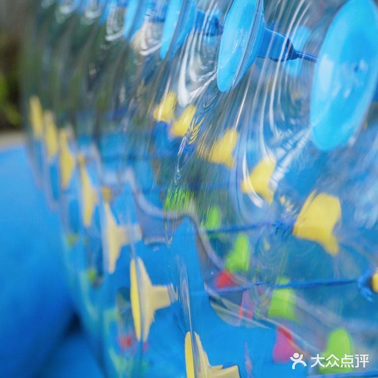 适合亲子游玩的农场
