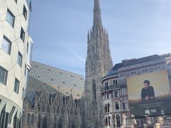 -斯蒂芬主教座堂(Stephansdom)