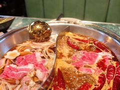 -牛New寿喜烧(金鹰世界店)