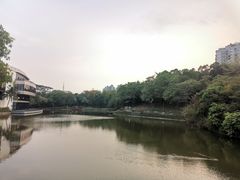 -深圳国际园林花卉博览园