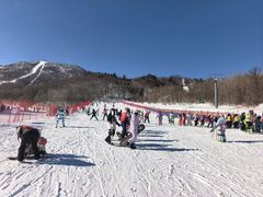 -亚布力新体委滑雪场