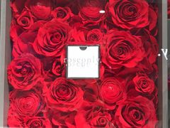 -ROSEONLY诺誓(沈阳万象城店)