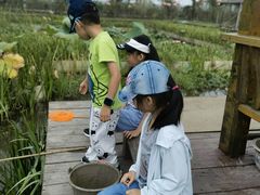 -同銮特种养殖场·龙虾垂钓