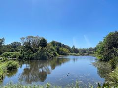 -墨尔本皇家植物园