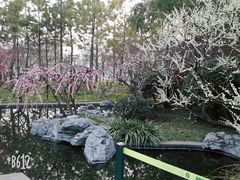 -苏州河梦清园环保主题公园