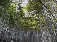 -敬亭山风景名胜区