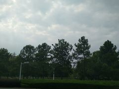 -同济大学(嘉定校区)