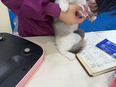 -全心全意连锁动物医院·微创中心·内科急重症·心脏专科(丰管路店)