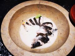 -云海肴云南菜·蒸汽石锅鱼(青岛万象城店)