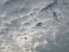 -南京理工大学紫金学院